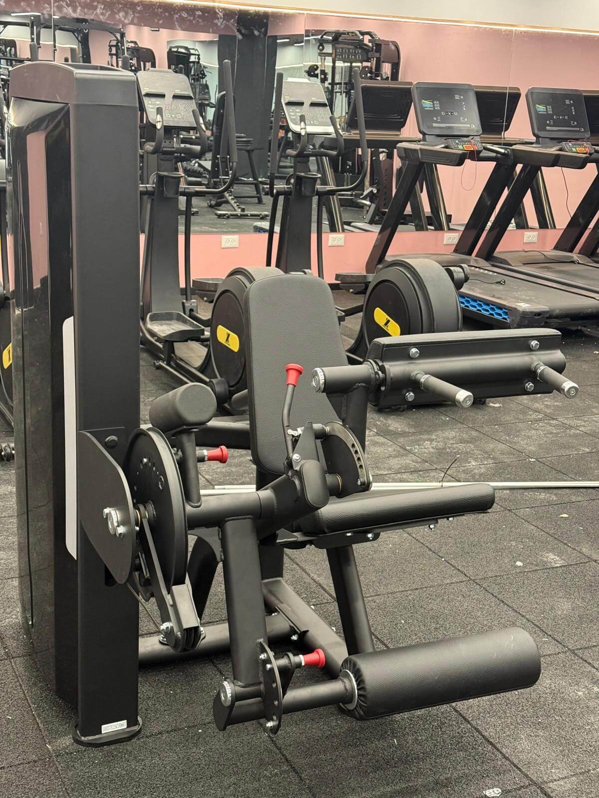 מכשיר אימון רגליים משולב – Leg Extension & Leg Curl מתוג INSIGHT – תמונה 7